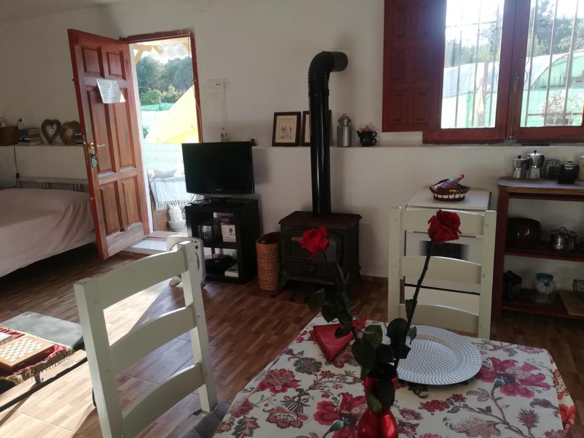 발렌시아 Country Side Loft 아파트 외부 사진